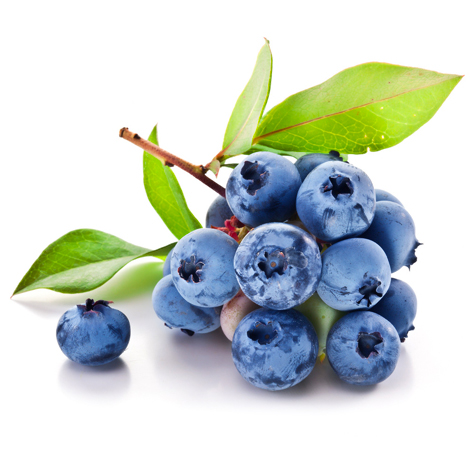 加拿大蓝莓